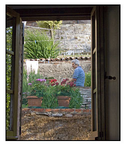 window to the world. our neighbors' garden terrace above us in Umbria