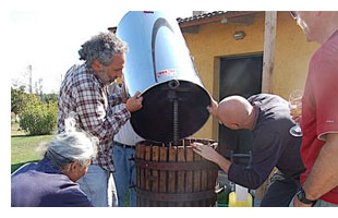 any more in that barrel of grapes? winemaking in tuscany, italy