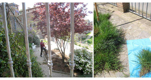 gardening in italy, umbria edition spring 2008